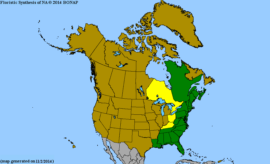 2013 BONAP North American Plant Atlas. TaxonMaps