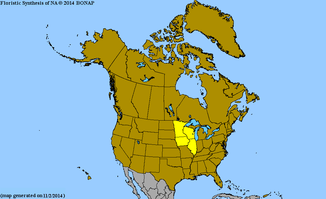 2013 BONAP North American Plant Atlas. TaxonMaps