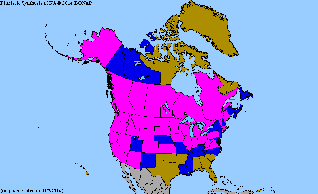 2013 Bonap North American Plant Atlas. Taxonmaps