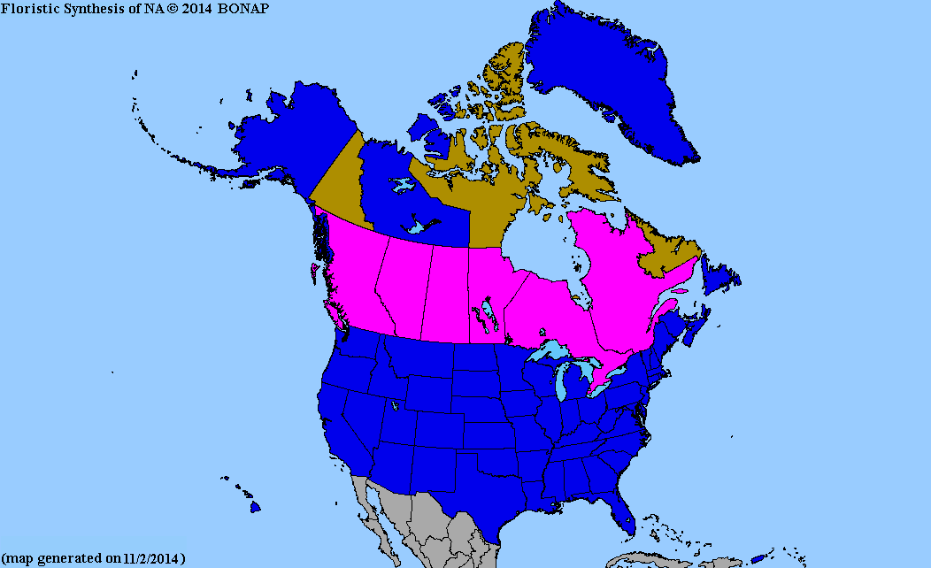 2013 BONAP North American Plant Atlas. TaxonMaps