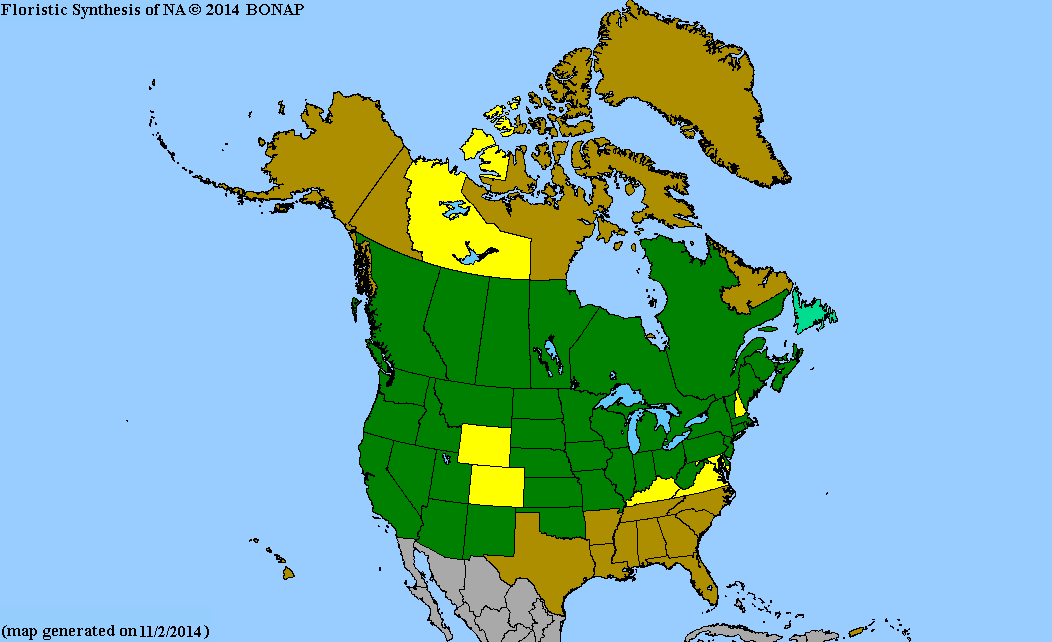 2013 BONAP North American Plant Atlas. TaxonMaps