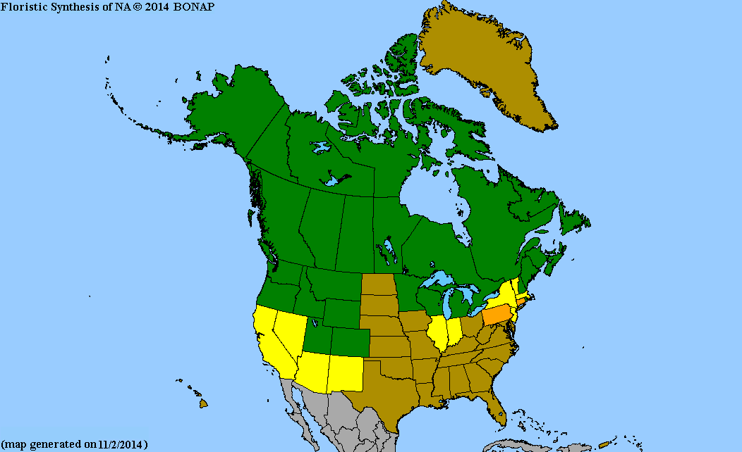 2013 BONAP North American Plant Atlas. TaxonMaps