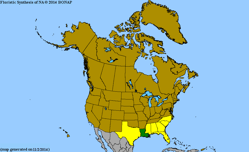 2013 BONAP North American Plant Atlas. TaxonMaps