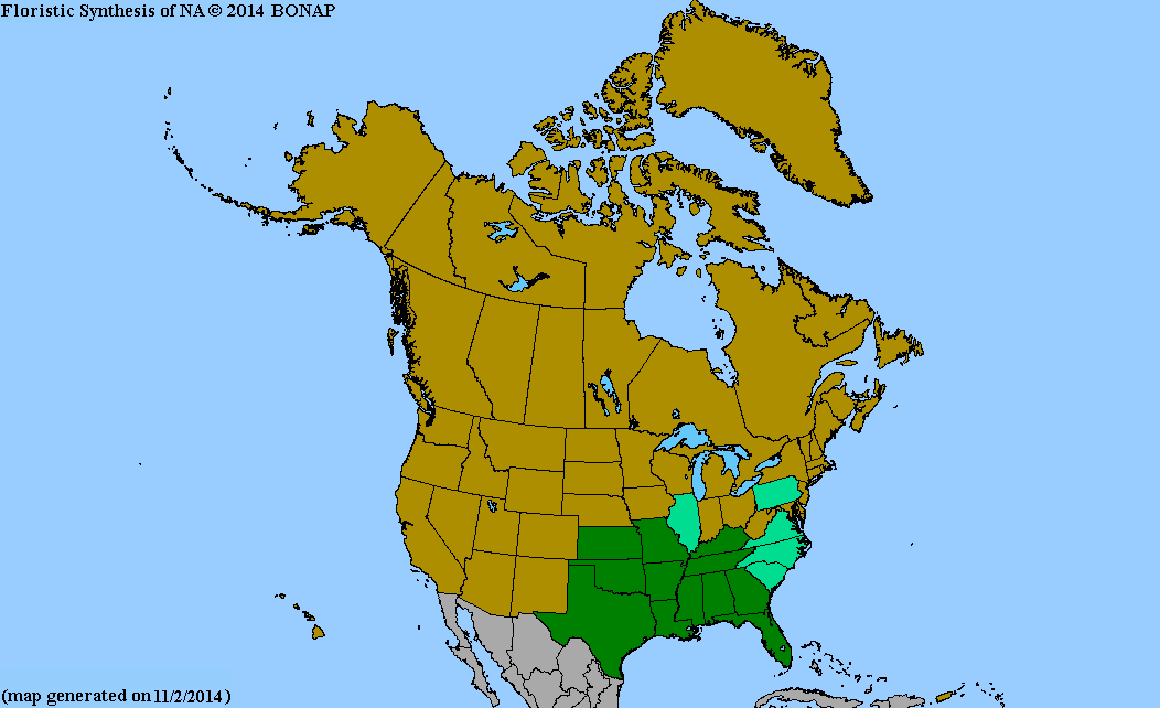 2013 BONAP North American Plant Atlas. TaxonMaps